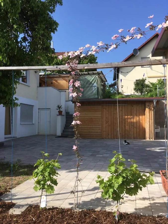 Ferienwohnung In Wiesent-Gerne Handwerker/Monteure Apartman