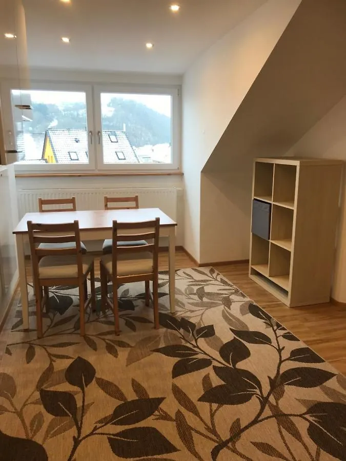 Ferienwohnung In Wiesent-Gerne Handwerker/Monteure Apartment Wiesent